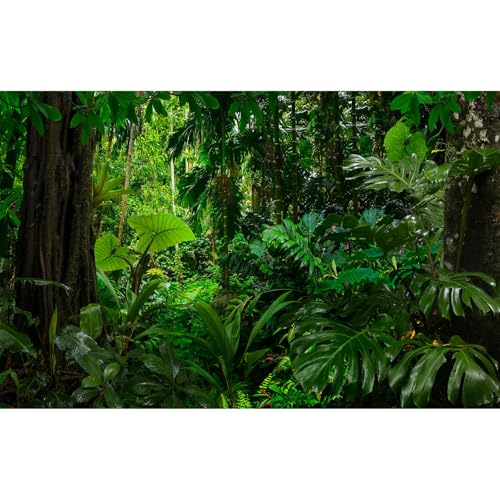 Forest Aquarium Background Densely Woods In Moss Natural Landscape Terrarium Background Lush Green Tropical Forest Jungle Ferns Fish Tank Background Old Huge Trees Reptile Habitat Background 24x12in - color: Leaf Green, size: 24(W)x12(H)inches/ 60(W)*30cm