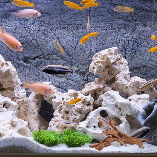 POPETPOP Natural Driftwood for Aquarium Decor - 9.8×5.9" Unique Wood Branch Fish Tank Decorations & Reptile Tank Accessories, Drift Wood Log for Leopard Gecko Terrarium Accessories