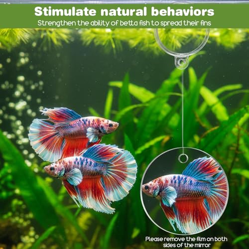 Molain Betta Fish Enrichment Toys, Betta Fish Tank Accessories 2 Training Rings 1 Mirror with Floating Ball Plastic Aquarium Enrichment Toys Set for Fishes Exercise Mental Stimulation