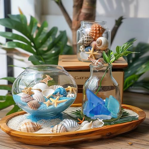 Natural Mixed Seashells Conch Starfish Sea Glass 1-2.8 Inch,16.5 OZ Bulk Ocean Beach Theme Party Decor for Coastal Crafts,Resin Arts, Aquarium Decor,Wedding Table Shells,Nautical Home Vase Fillers - color: Mixed/Seaglass