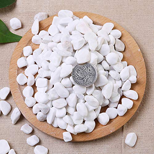 WAYBER 2 Lb/920g White Stones Decorative Pebble Rock Sand for Aquarium/Fish Turtle Tank/Vase Filler/Succulent Plants Decoration (Fill 2 Cups) - color: White, size: 2 Pounds