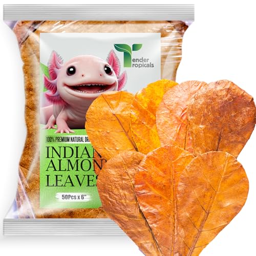 50Pcs Axolotl Indian Almond Leaves for Aquarium 6" Catappa Leaf Litter Natural Habitat Enrichment Supports Slime Coat Health Maintains Water Quality, Tank Accessories