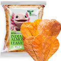 50Pcs Axolotl Indian Almond Leaves for Aquarium 6" Catappa Leaf Litter Natural Habitat Enrichment Supports Slime Coat Health Maintains Water Quality, Tank Accessories