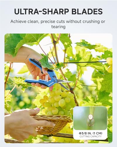 Fondwell 6.5" Gardening Shears Pruning Snips: Plant Trimming Scissors with Straight Blades - Pruning Scissors for Precise Cuts - style: 6.5" Straight