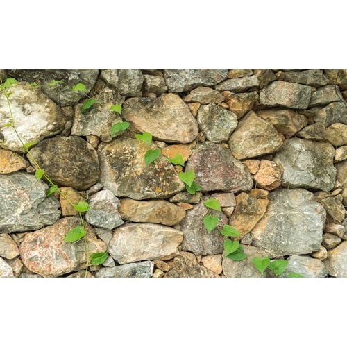 Rock Wall Aquarium Background Nature Stone Green Plants Fish Tank Background Natural Rocky Terrarium Backgrounds Rock Wall Texture Stone Rocky Reptile Tank Enclosure Backgrounds 24x16in - color: Khaki, size: 24(W)x16(H)inches/ 60(W)*40cm(H)