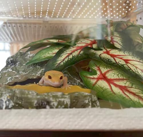 Reptile Plants for Terrarium Decor,Amphibian Habitat Decor, Bearded Dragon Tank Accessories,Artificial Plants for Gecko Chameleon Snake Tortoise with Base (Alocasia odora) - color: Alocasia Odora