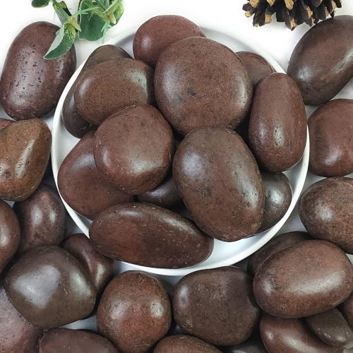 YISZM Rocks for Plant 5lbs, Red River Rocks 2-3 Inch Natural Pebbles for Indoor Plants, High Polished Decorative Stones Vase Filler Fish Tank Aquariums Landscaping Garden - color: Red, size: 5 Pounds