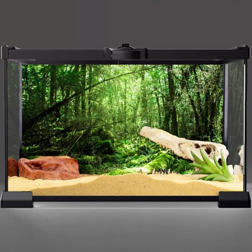 AWERT 72x18 inches Tropical Terrarium Background Rainforest Aquarium Background Green Tree Reptile Habitat Background Vinyl - size: 72x18in/180x45cm
