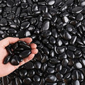 Black Pebbles for Plants 3lb Bulk Bag 0.5"- 1" Aquarium Gravel Decorative Polished Stone Natural River Rocks for Fish Tank… - size: 3LB, style: Black