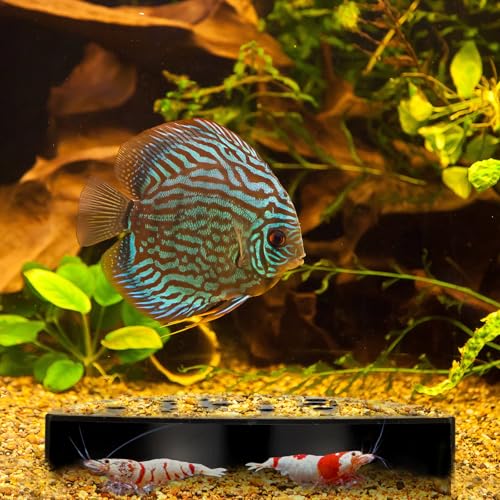 2 Pcs Shrimp Hides for Aquarium Shrimp Hides Hideout Aquarium Cave Fish Tunnel for Fish Tank Accessories Decor(Black)