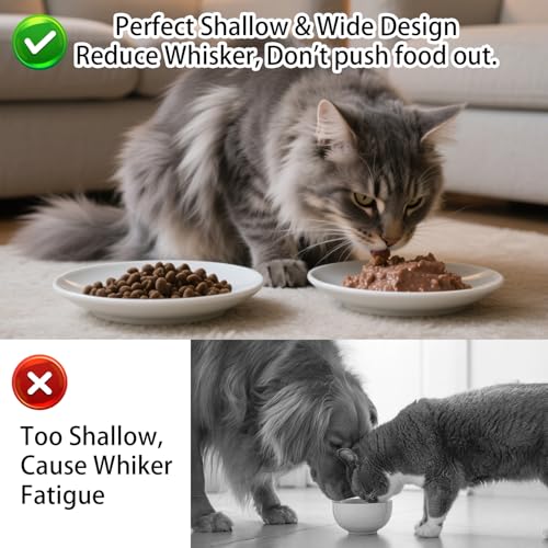 Cat Food Bowl Set of 6, Ceramic Cat Bowls, Anti Whisker Fatigue Cats Bowl Set,5.9 Inches Shallow Wide Kitten Plates for Wet/Dry Food, Indoor Pets (Fish Bone) - color: Fish Bone, size: 6pc