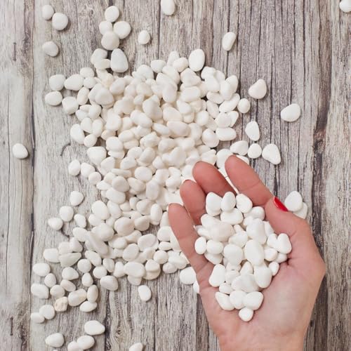 River Rocks Decorative Ornamental Vase Filler 0.5" - 0.75" White Aquarium Gravel 30 lbs - Landscaping Pebbles for Indoor Plants, Succulents, Terrarium & Home Decor, DIY & Crafting – Royal Imports - size: Small - 30 lbs, style: White