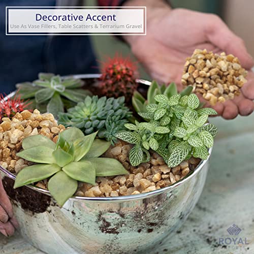 River Rocks Decorative Ornamental Vase Filler 0.25" Natural Aquarium Gravel - 5 lbs Landscaping Pebbles for Indoor Plants, Fish Tank Gravel, Terrarium & Home Decor, DIY & Crafting – Royal Imports - size: Mini - 5 lbs, style: Natural