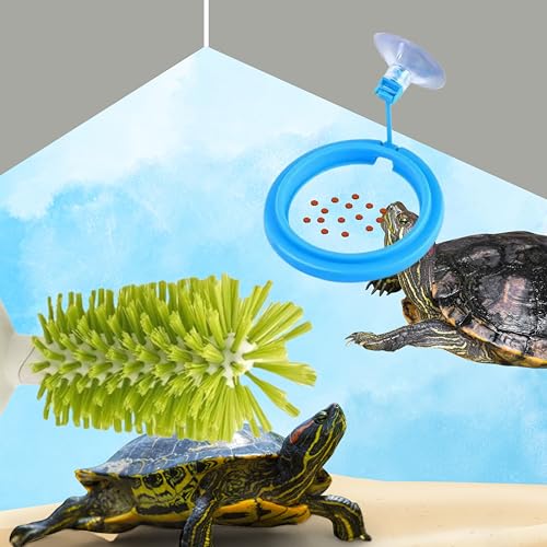 Turtle Brush with Suction Cup & Feeding Ring, 2-Piece Cleaning & Feeding Set (Green) - color: Green
