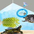 Turtle Brush with Suction Cup & Feeding Ring, 2-Piece Cleaning & Feeding Set (Green) - color: Green