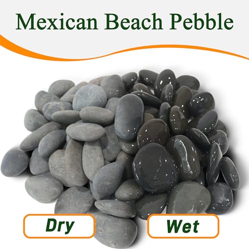 Quibbay 45 LB Mexican Beach Pebbles - 1-2 Inch Decorative River Rocks for Landscaping, Garden Paving, Plant Rocks, Crafting, Walkways, Backyard, Grey Natural Unpolished Bulk Stones - size: 45 Pounds, 1-2 Inch