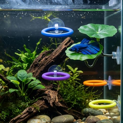 6 PCS Betta Fish Toys, 4 Exercise Training Ring 1 Fish Mirror with Ball and 1 Resting Leaf for Small Medium Stress-Free Fishes Bettas Aquarium, Multicolor