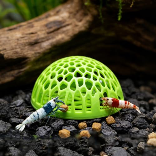 2-Pack Green Shrimp Hideouts – Hollow Half-Sphere Aquarium Caves for Shrimp, Betta Fish & Nano Tanks | Decorative Shelter for Breeding and Molting - color: Green