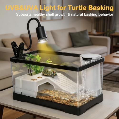 Large Turtle Tank Kit,All in One Red Eared Slider Aquarium,PC Aquatic for Baby Tortoise,Fishes and Amphibians, Includes Silent Filter,Filter Plates,UVB Lamp,Bulb,Plants,Stone,Basking Platform - size: Large(15.8*7.8*8.7inch)