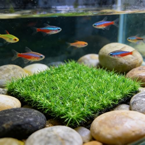Aquarium Decor Artificial Plastic Lawn Grass,4PCS 9 inches Fish Tank Decorations, Easy Install Green Plants for Aquariums and Hermit Crab Climbing Habitats with 16 Suction Cups
