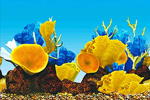 ELEBOX Aquarium Background Sticker Paper 3D Double-Sided Wallpaper Fish Tank Decorative Pictures Underwater Backdrop Image Decor 16"x 40" - color: Type D