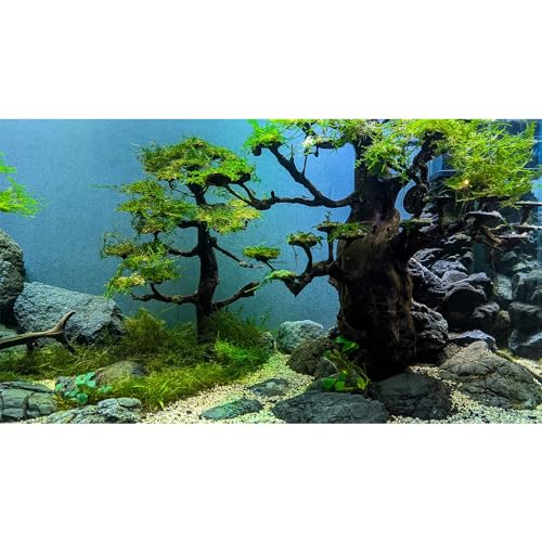 Aquarium Background Green Grass Trees Aquarium Backdrop Vivid and Fresh Green Plants Tank Backdrop Wood and Pebble Reptile Habitat Terrarium Background Decor 24x12in - color: Grey_Blue, size: 24(W)x12(H)inches/ 60(W)*30cm(H)