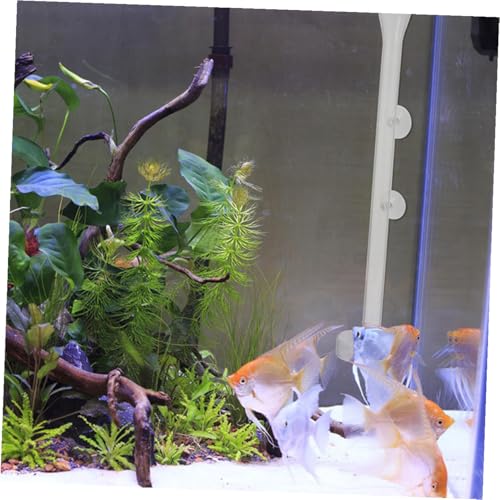 Shrimp Feeder Tube and Feeding Dish Set 20cm Crystal Glass Aquarium Feeder Tube with Feeding Box for Fish Tank Supplies