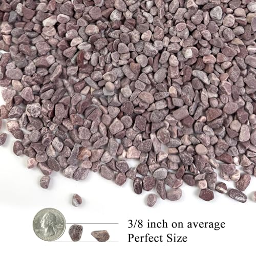 FANTIAN 2 lbs Succulent and Cactus Pebbles Gravel, 3/8 Inch Decorative Red River Rocks for Plants Indoor, Vases, Terrarium, Potted Top Dressing and Outdoor Decorative Stones - color: Red Gravel