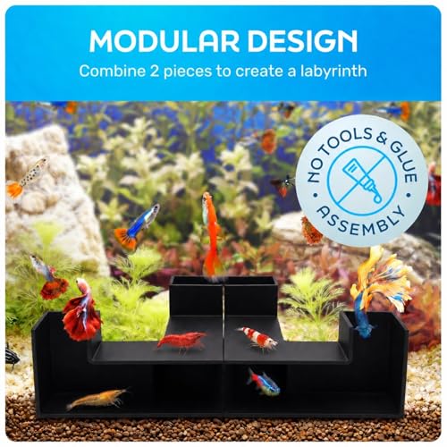Aquarium Underground Tunnel 5", Dual-Entrance Fish Tank Cave & Aquarium Cave with Clear Viewing Window, ABS Shrimp Hideout, Substrate Buried Decor for Betta, Loaches, Corydoras, Black - color: Style A Black