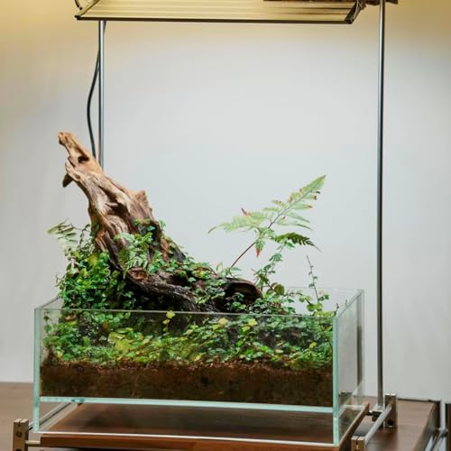 Natural Driftwood Spider Wood Branches Fish Tank and Reptile Terrarium Decor Assorted Sizes for Aquariums and Lizard Habitats (14-17 inch (Pack of 1), Mopani Driftwood)