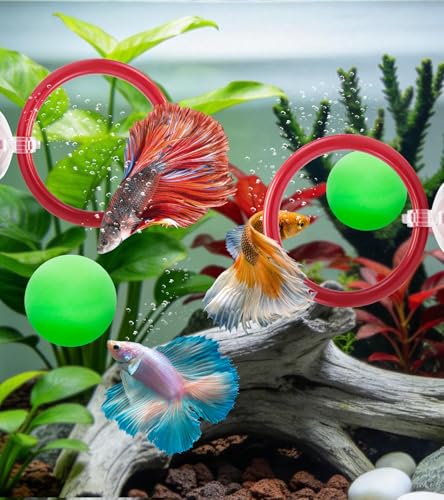 Betta Fish Toys,Including Betta Feeding Ring and Floating Betta Sports Mirror,Betta Enrichment Toys for Small Tank,Betta Fish Tank Accessories