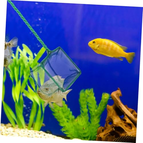 Kisangel 2pcs Fine Mesh Aquarium Fish Nets with Plastic Handles 4-inch Square Scoop Nets for Pond and Fish Tank Cleaning for Aquarium Maintenance
