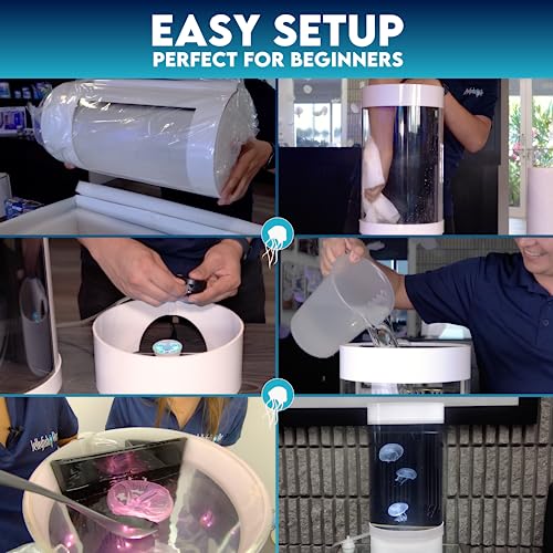 Jellyfish Art Jelly Cylinder 5 (Aquarium only kit) - Beginner Aquarium for Live Jellyfish (Black)
