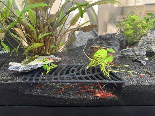 LifeWithPets Shrimp Breeding Hide | Shrimp Cave | Shrimp Hide | Tunnel | Black - size: Halfmoon Hide