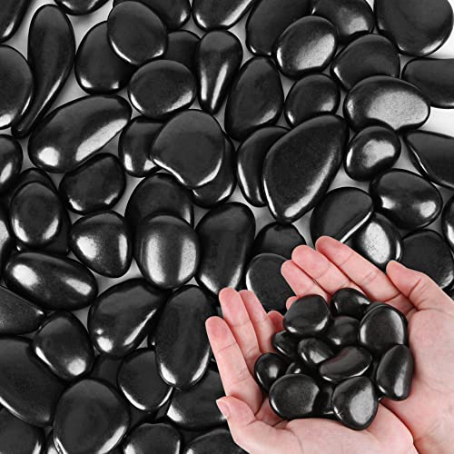 Black River Rocks for Plants 11.25 LB Small Decorative Pebbles 1"-1.5" Polished Stones Smooth Aquarium Gravel for Fish Tank Vases Indoor Planters Outdoor Landscaping Garden (180oz) - size: 11.25 LB (180oz), style: Black