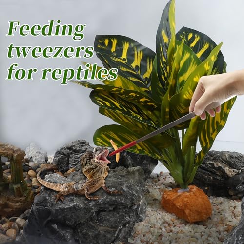 Reptile Feeding Tongs, Stainless Steel Lizard Feeding Tongs, Aquarium Straight Feeding Tweezers for Reptiles with Rubber Tip, Terrarium Feeding Tongs for Gecko, 10.63" L, Black - color: Red, size: 14.96"
