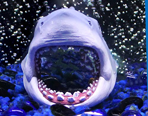 Penn-Plax Jaws Officially Licensed Aquarium Decoration – Shark Swim-Through – Safe for Freshwater and Saltwater Fish Tanks – Small - style: Shark Swim-Through