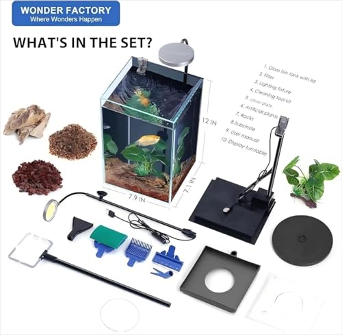 Nano Desktop Betta Aquarium 2.7 Gallon Glass Fish Tank Set, Hidden Bottom Filtration System Self Cleaning Filter Light Gravel Plant Cleaning Tool, for Small Space Easy Setup Space-Saving Design - size: 2.7 gallon