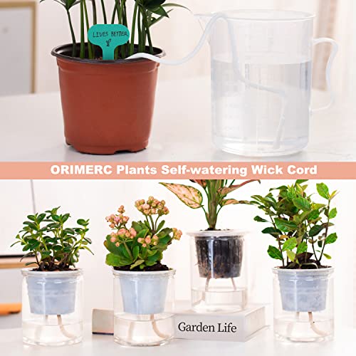 ORIMERC 2 inch Net Cups Pots 30 Pack with 30 feet Self Watering Wick & 30 Plant Labels for Hydroponics Aquaponics Planter Indoor Outdoor Growing Baskets Slotted Mesh UV Resistant & BPA Free - size: 2 inch (30 Pack)