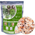Halatool 1LB Crystal Pebbles 0.27"- 0.79" Natural Landscaping Pebbles Aquarium Gravel Decorative Polished Stone Suitable for Plants Home Decoration DIY Handmade Fish Tanks Vase Filler - size: 1 LB, style: Crystal Pebbles