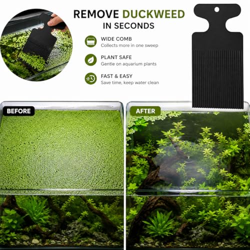 Aquarium Duckweed Removal Tool, 6.5 x 3 inch Floating Plant Comb Spatula, Aquatic Tank Cleaning Tool (Black) - color: Black