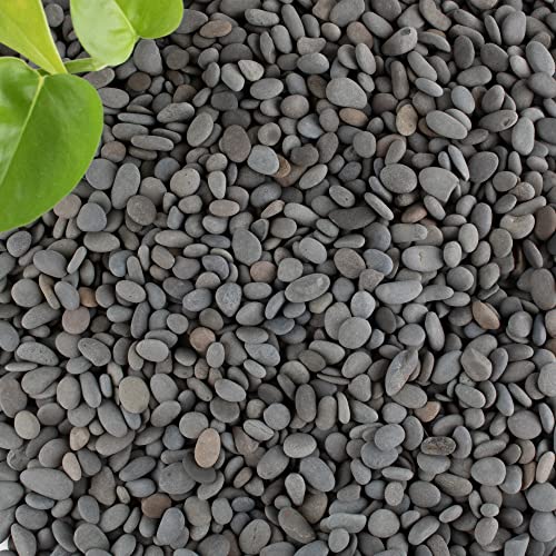 Black Rock, CJGQ 18lb River Rocks Pebbles for Plants Succulents, Decorative Outdoor Landscaping Garden Rocks, Natural Small Mexican Beach Pebbles Aquarium Rocks Gravel for Fish Tanks Vase Yard Decor - color: Black-Medium, size: 18lb