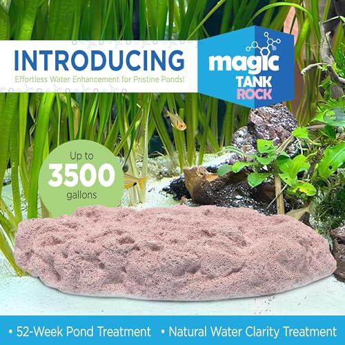 Fish Tank Rocks for Enhancing Water Clarity with Your Regular Cleaning Routine, Fish Friendly Aquarium Rocks, All Natural Aquarium Decor, Small, Up to 750 Gallons
