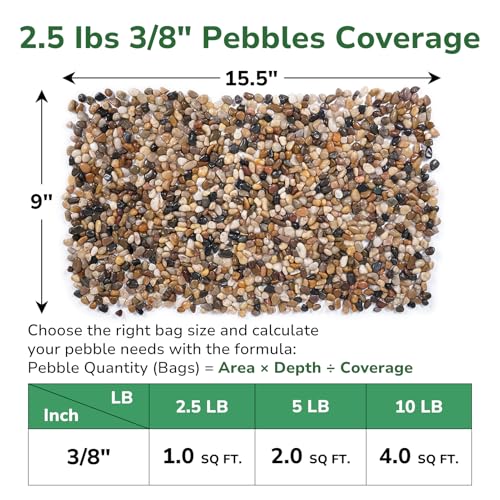 GreatBuddy 2.5-lb Pebbles for Indoor Plants, 3/8" Pea Gravel for Vases, Small Rocks for Succulents, Fish Tanks, Aquariums, Terrarium, Drainage Pebbles for Potted Plants, River Rocks for Landscaping - color: Natural-2.5lb, size: Medium-3/8 Inch
