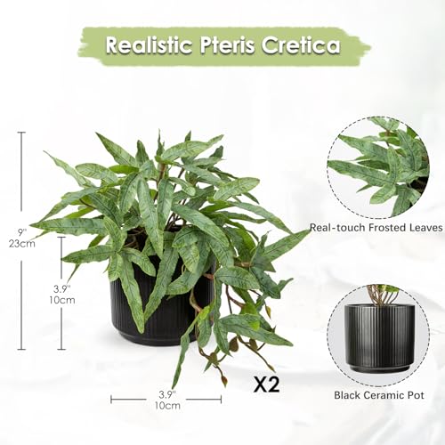 Briful Faux Plants Indoor 9'' Artificial Potted House Plant with Black Ceramic Pot Fake Pteris Cretica Fern Plant for Home Office Room Desk Shelf Decor Indoor(2PACK) - color: 2 Pack Fake Plant Set