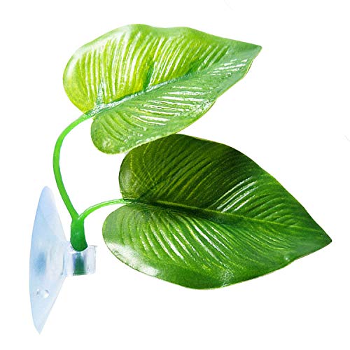 CousDUoBe 1 Pack Betta Fish Leaf Pad Improves Betta's Health by Simulating The Natural Habitat - Natural, Organic, Comfortable Rest Area for Fish Aquarium Ornaments - size: 1 Pack