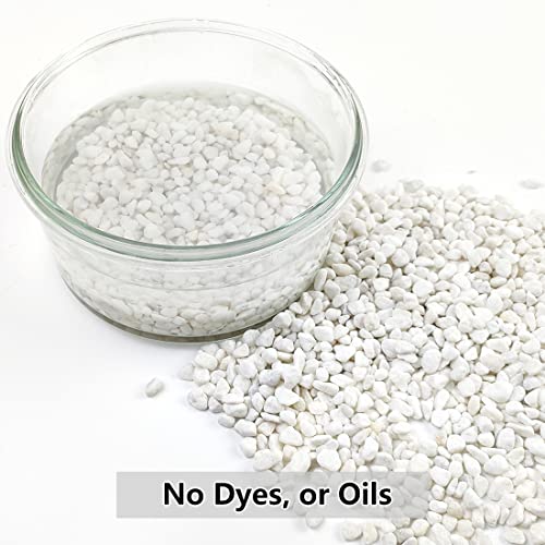YISZM 10LB Succulent and Cactus Gravel, 1/5 Inch White Natural Decorative Polished Pebbles for Landscaping, River Rocks for Plants, Vases, Aquariums, Terrarium and Outdoor Gardening - color: White, size: 10 Pounds
