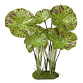 Blue Ribbon PET Products 030157018597 Color Burst Florals Lotus Plant