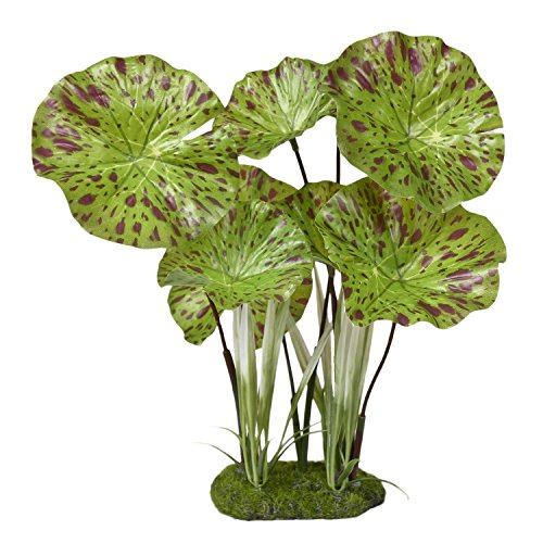 Blue Ribbon PET Products 030157018597 Color Burst Florals Lotus Plant