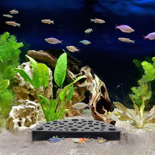 2 PCS Shrimp Hides for Aquarium, Shrimp Cave, Small Fish Tunnel Shrimp Breeding House, Plastic Shelters Aquarium Shrimp Hideout, Fish Tank Accessories Decor, Black